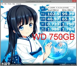 diskmarkwd750gb